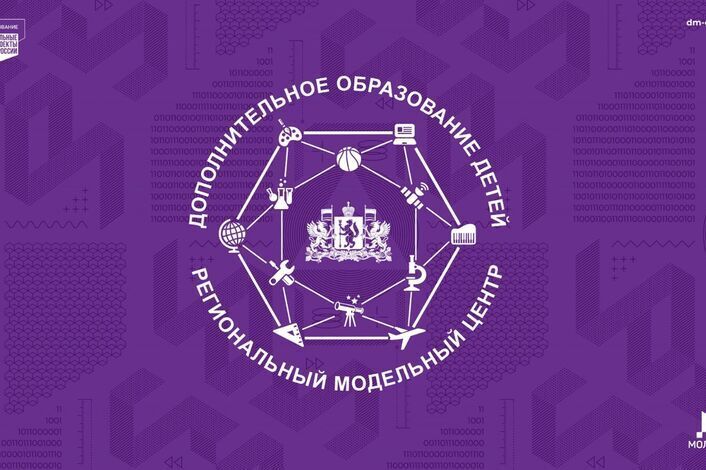 О реализации муниципального социального заказа на территории мо «город Екатеринбург»