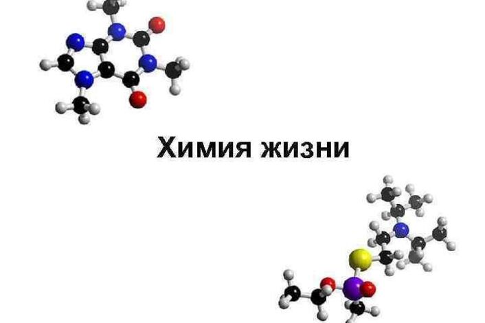 Химия и жизнь презентация по химии